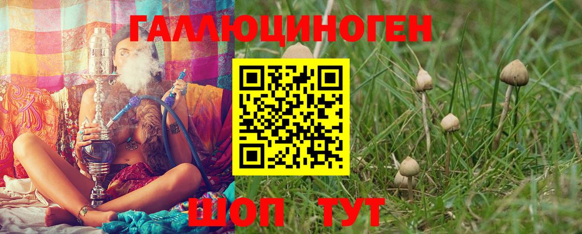 Галлюциногенные грибы Cubensis  Вход с VPN  Королёв  Галлюциногенные грибы Magic Shrooms 